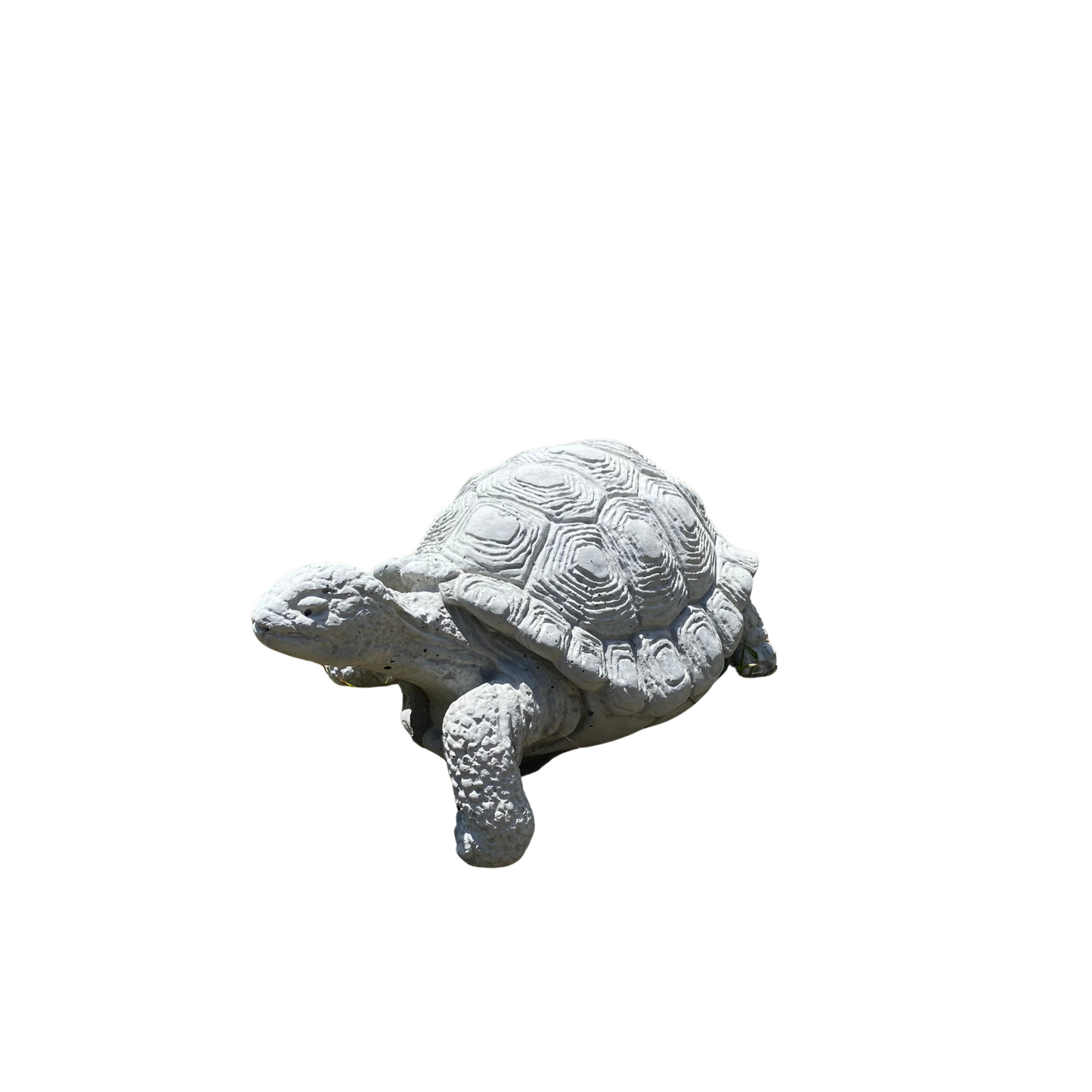 Concrete Turtle Small