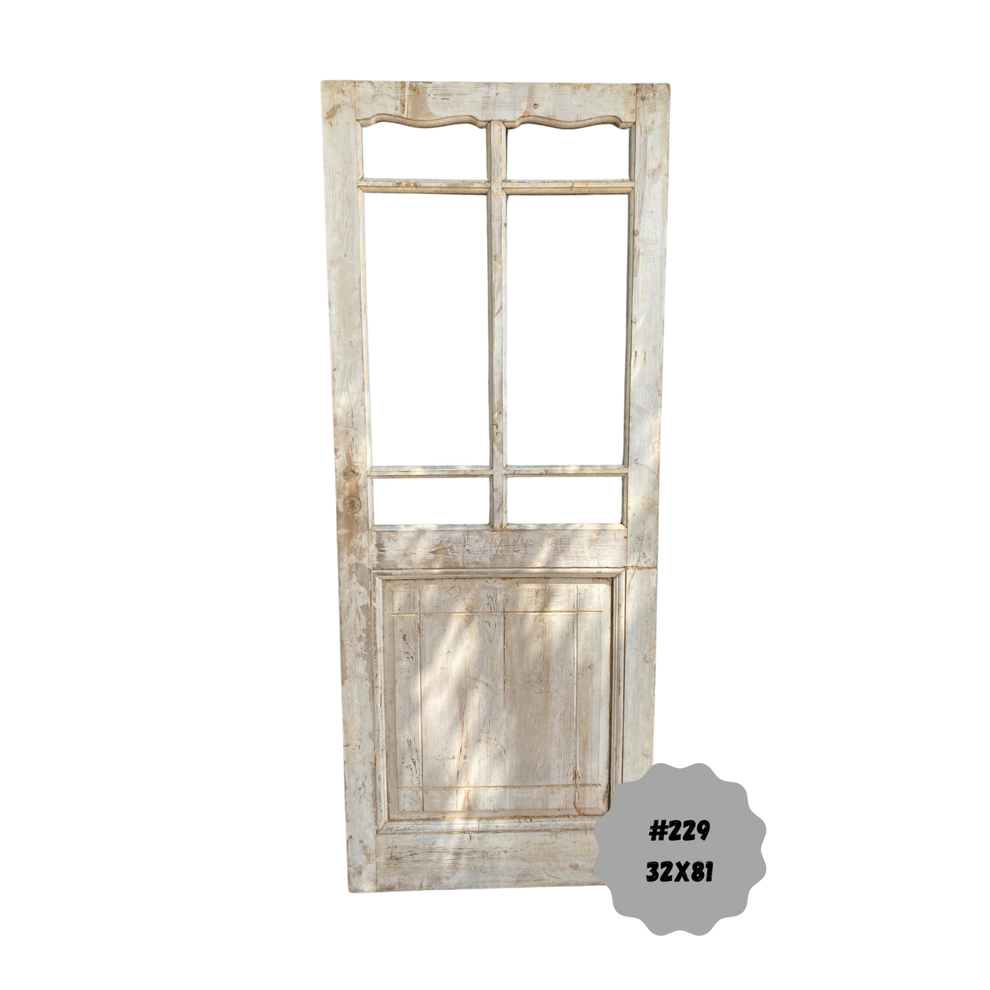 Egyptian Hand Carved Antique Panel Door with Lites #229