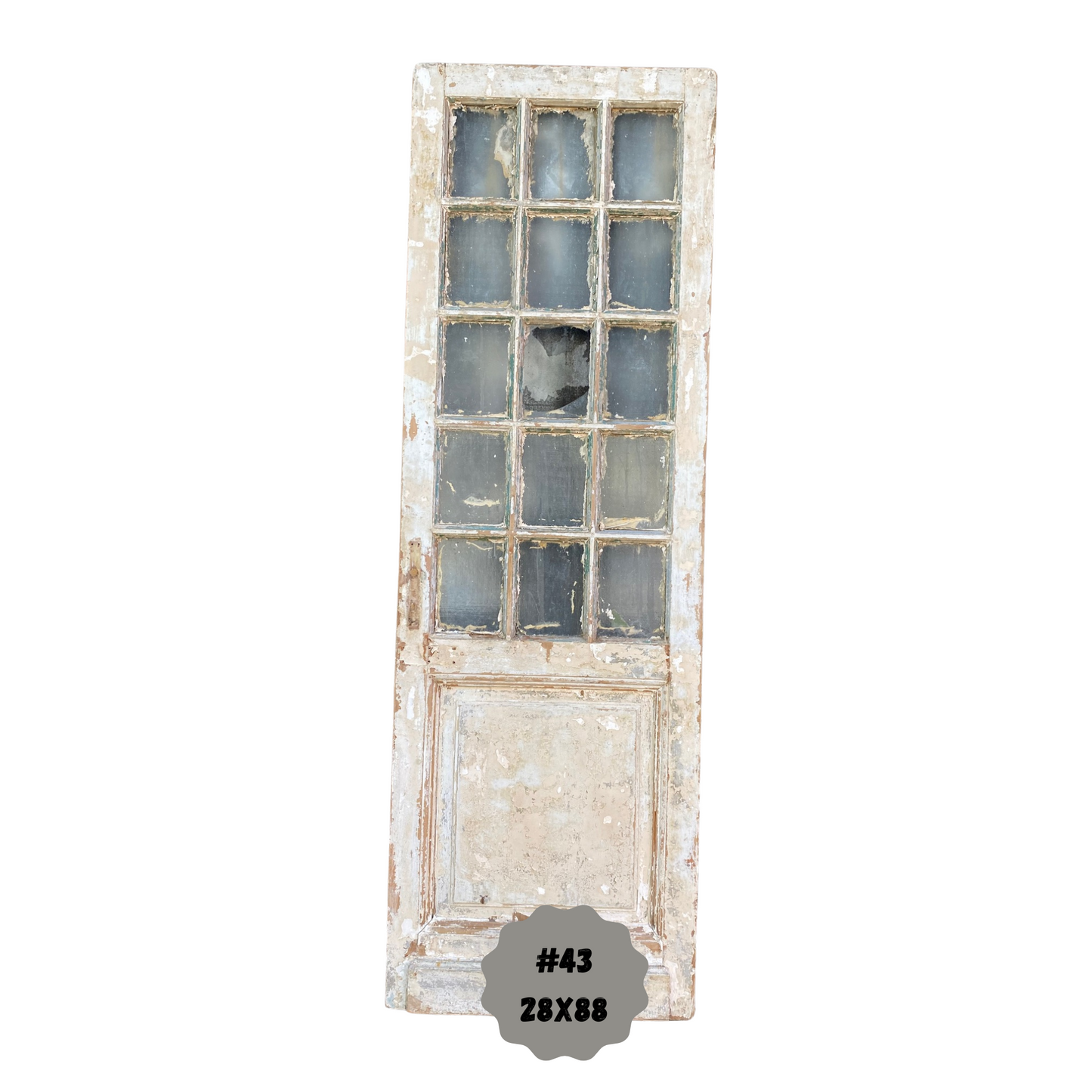 Egyptian Hand Carved Antique Single Panel Door