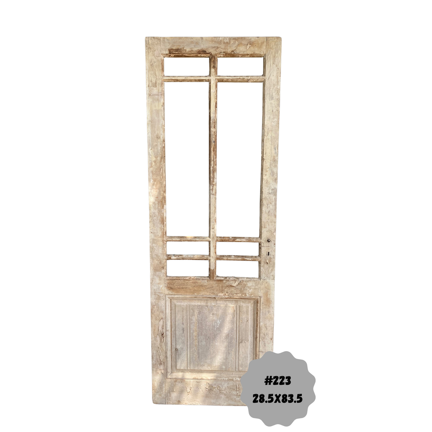 Egyptian Hand Carved Antique Panel Door with Lite