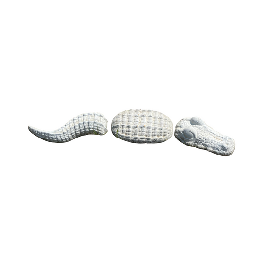 Concrete 3 Piece Alligator