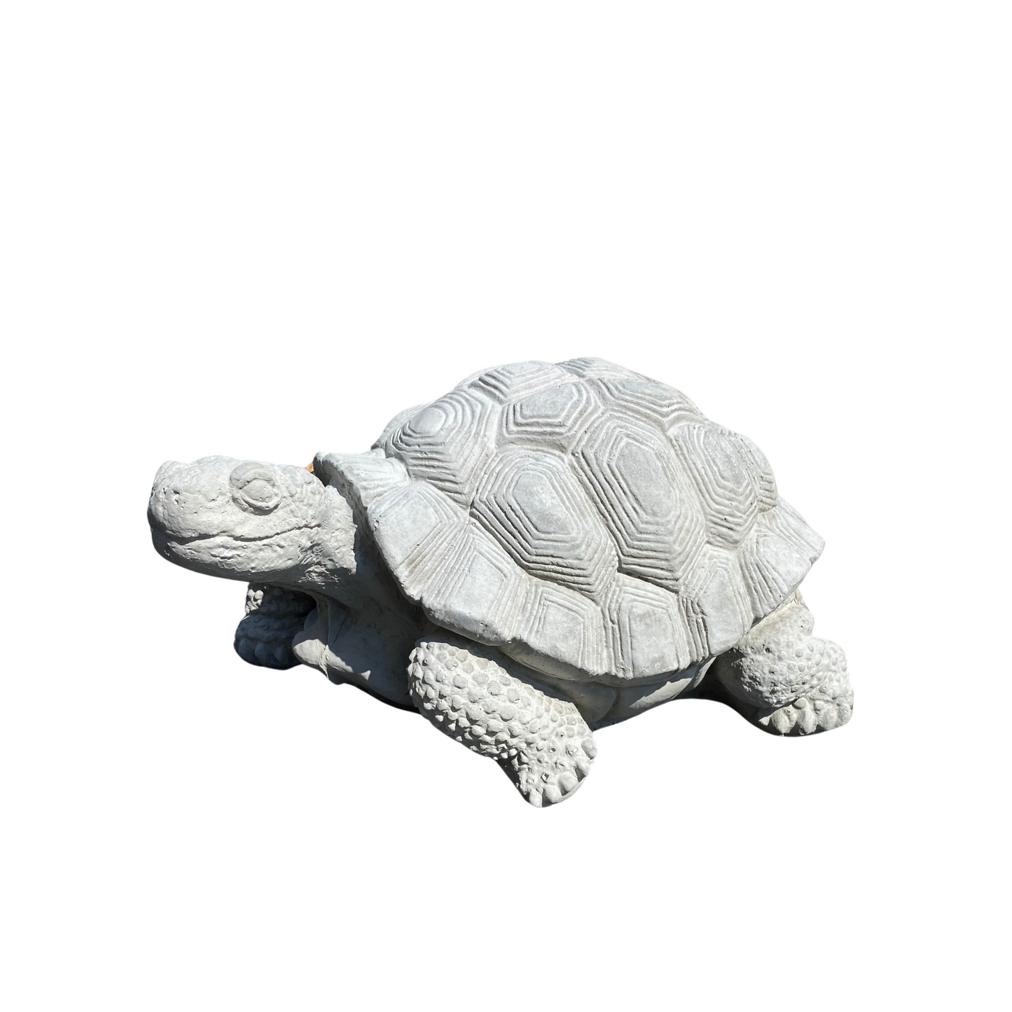 Large Concrete Turtle